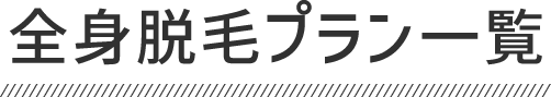 人気のプラン
