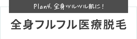 Plan4. 全身ツルツル肌に!全身フルフル医療脱毛