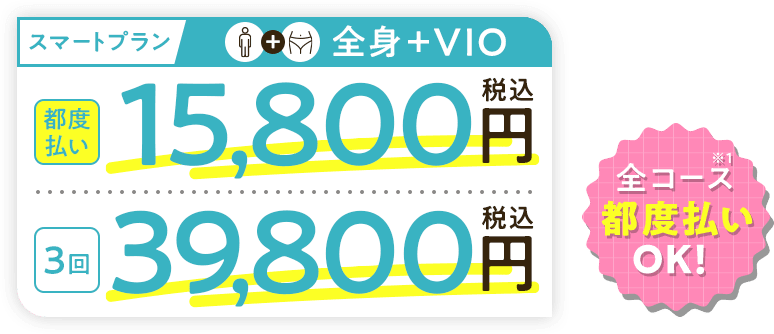 スマートプラン全身＋VIO 都度払い15,800円 3回39,800円税込