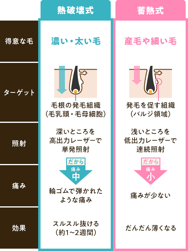 熱破壊式と蓄熱式の比較