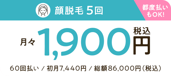 顔脱毛5回