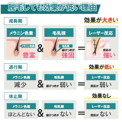 退行期や休止期に脱毛しても効果が低い理由