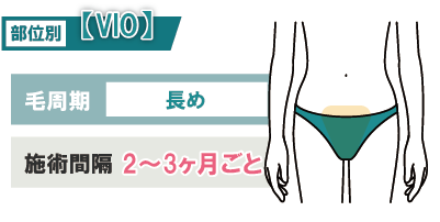 【VIO】毛周期が長く他の部位より多めの回数が必要