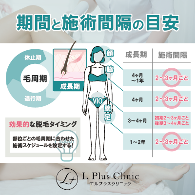 【部位別】毛周期の期間の目安と施術間隔の目安