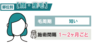 【顔・産毛】毛周期が短く1～2か月間隔が理想