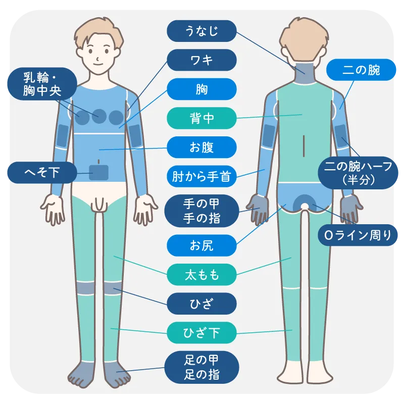 メンズ医療脱毛(全身セレクト医療脱毛・SML)の照射部位