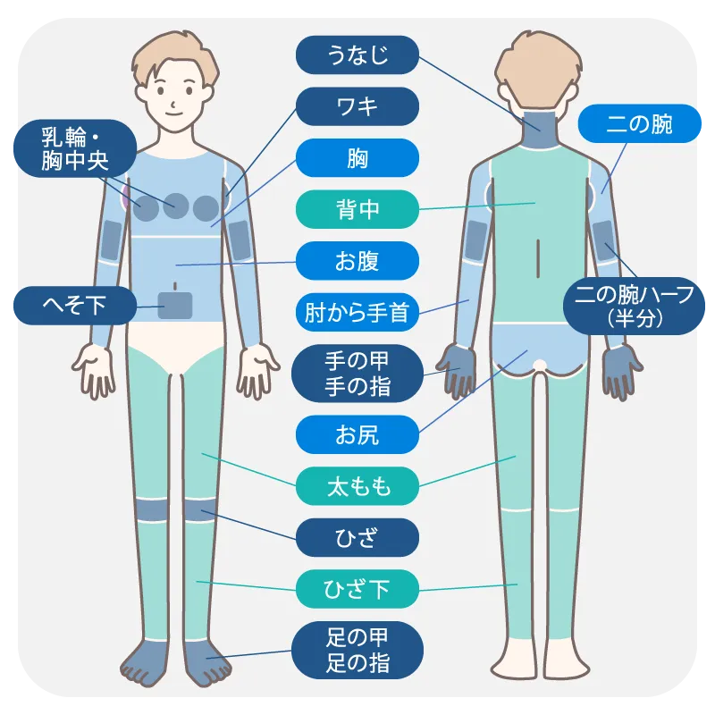 メンズ医療脱毛（全身セレクト医療脱毛・SML）の照射部位