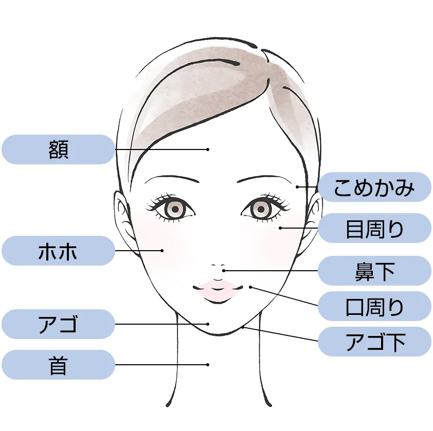ウルトラフォーマー3の施術範囲図