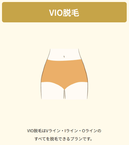 レジーナクリニック_VIO脱毛