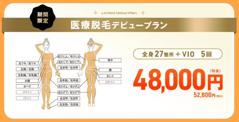レジーナクリニック_デビュープラン_範囲