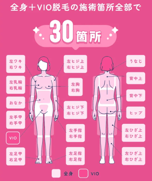 フレイアクリニック_クイックプラン_範囲