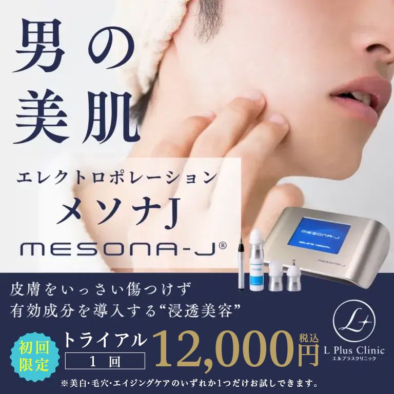 メソナJ