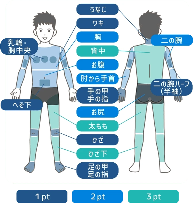 メンズ医療脱毛（全身セレクト医療脱毛・SML）の照射部位