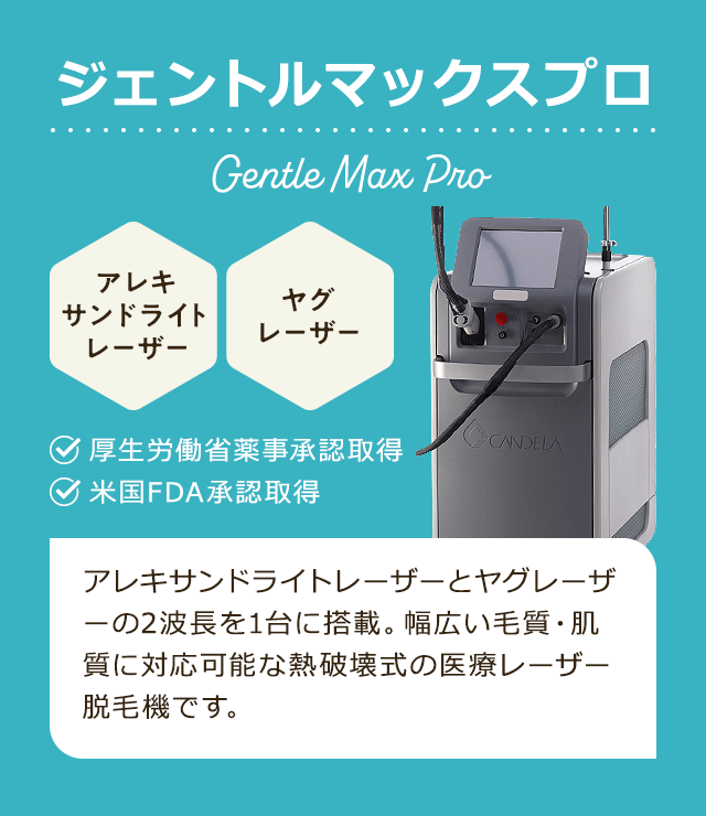 国内承認機ジェントルマックスプロ