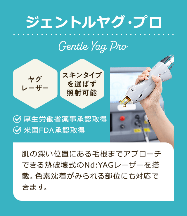 国内承認機ジェントルヤグプロ