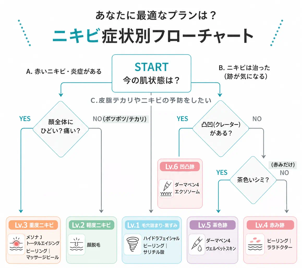 ニキビ症状別フローチャート